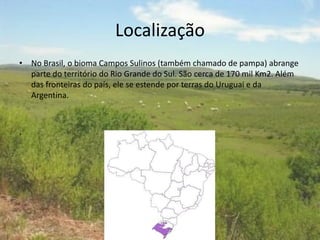 Localização
• No Brasil, o bioma Campos Sulinos (também chamado de pampa) abrange
parte do território do Rio Grande do Sul. São cerca de 170 mil Km2. Além
das fronteiras do país, ele se estende por terras do Uruguai e da
Argentina.
.
 