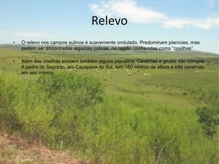 Relevo
• O relevo nos campos sulinos é suavemente ondulado. Predominam planícies, mas
podem ser encontradas algumas colinas, na região conhecidas como “coxilhas”.
• Além das coxilhas existem também alguns planaltos. Cavernas e grutas são comuns.
A pedra do Segredo, em Caçapava do Sul, tem 160 metros de altura e três cavernas
em seu interior.
.
.
 
