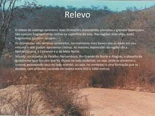 Relevo
• O relevo da caatinga apresenta duas formações dominantes: planaltos e grandes depressões.
São comuns fragmentos de rochas na superfície do solo. Nas regiões mais altas, estes
fragmentos também existem.
• As depressões são terrenos aplainados, normalmente mais baixos que as áreas em seu
entorno e que podem apresentar colinas. As maiores depressões da região são a
Sanfranciscana, a Cearense e a do Meio Norte.
• Situado nos estados da Paraíba, Pernambuco, Rio Grande do Norte e Alagoas, o planalto da
Borborema (que faz com que há chuvas no lado ocidental, ou seja, onde se encontra o
oceano, provocando seca no lado oriental, ou seja, no nordeste) é uma formação que se
destaca, com altitudes variando em média entre 650 e 1000 metros.
.
 