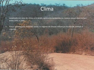 Clima
• Localizada em área de clima semi-árido, apresenta temperaturas médias anuais que oscilam
entre 25ºC e 29ºC.
• Possui prolongadas estações secas e o regime de chuvas influencia na vida de animais e
vegetais.
.
 