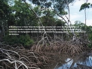Relevo
• O Brasil possui a maior faixa de mangue do planeta com cerca de 20 mil km² que se
estendem desde o nordeste (Cabo Orange – Amapá) até o sul do país (Laguna – Santa
Catarina). Os manguezais também são encontrados na Oceania, África, Ásia e outros países
da América.
.
 
