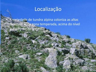 Localização
• A variedade de tundra alpina coloniza as altas
montanhas da zona temperada, acima do nível
atingido pelas árvores.
 