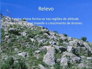 Relevo
• A tundra alpina forma-se nas regiões de altitude
excessiva, a qual impede o crescimento de árvores.
 