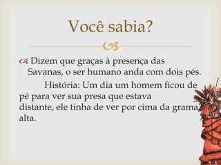 
 Dizem que graças à presença das
Savanas, o ser humano anda com dois pés.
História: Um dia um homem ficou de
pé para ver sua presa que estava
distante, ele tinha de ver por cima da grama
alta.
Você sabia?
 