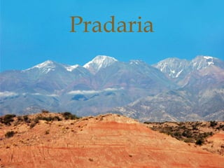 
Pradaria
 