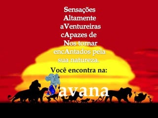 
avana
Você encontra na:
 