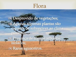 
Flora
 