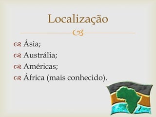 
 Ásia;
 Austrália;
 Américas;
 África (mais conhecido).
Localização
 