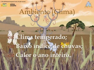 
Ambiente (Clima)
 