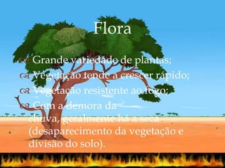 
 Grande variedade de plantas;
 Vegetação tende a crescer rápido;
 Vegetação resistente ao fogo;
 Com a demora da
chuva, geralmente há a seca
(desaparecimento da vegetação e
divisão do solo).
Flora
 