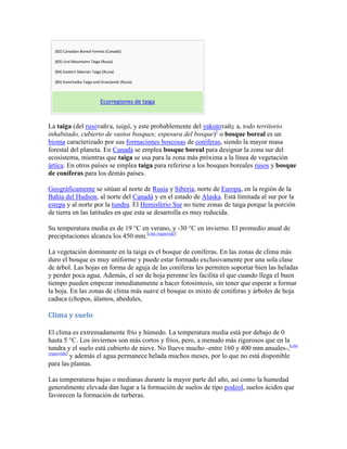(82) Canadian Boreal Forests (Canadá)
(83) Ural Mountains Taiga (Rusia)
(84) Eastern Siberian Taiga (Rusia)
(85) Kamchatka Taiga and Grasslands (Rusia)
Ecorregiones de taiga
La taiga (del rusoтайга, taigá, y este probablemente del yakutoтайҕ а, todo territorio
inhabitado, cubierto de vastos bosques; espesura del bosque)1
o bosque boreal es un
bioma caracterizado por sus formaciones boscosas de coníferas, siendo la mayor masa
forestal del planeta. En Canadá se emplea bosque boreal para designar la zona sur del
ecosistema, mientras que taiga se usa para la zona más próxima a la línea de vegetación
ártica. En otros países se emplea taiga para referirse a los bosques boreales rusos y bosque
de coníferas para los demás países.
Geográficamente se sitúan al norte de Rusia y Siberia, norte de Europa, en la región de la
Bahía del Hudson, al norte del Canadá y en el estado de Alaska. Está limitada al sur por la
estepa y al norte por la tundra. El Hemisferio Sur no tiene zonas de taiga porque la porción
de tierra en las latitudes en que esta se desarrolla es muy reducida.
Su temperatura media es de 19 °C en verano, y -30 °C en invierno. El promedio anual de
precipitaciones alcanza los 450 mm.[cita requerida]
La vegetación dominante en la taiga es el bosque de coníferas. En las zonas de clima más
duro el bosque es muy uniforme y puede estar formado exclusivamente por una sola clase
de árbol. Las hojas en forma de aguja de las coníferas les permiten soportar bien las heladas
y perder poca agua. Además, el ser de hoja perenne les facilita el que cuando llega el buen
tiempo pueden empezar inmediatamente a hacer fotosíntesis, sin tener que esperar a formar
la hoja. En las zonas de clima más suave el bosque es mixto de coníferas y árboles de hoja
caduca (chopos, álamos, abedules,
Clima y suelo
El clima es extremadamente frío y húmedo. La temperatura media está por debajo de 0
hasta 5 °C. Los inviernos son más cortos y fríos, pero, a menudo más rigurosos que en la
tundra y el suelo está cubierto de nieve. No llueve mucho -entre 160 y 400 mm anuales-,[cita
requerida]
y además el agua permanece helada muchos meses, por lo que no está disponible
para las plantas.
Las temperaturas bajas o medianas durante la mayor parte del año, así como la humedad
generalmente elevada dan lugar a la formación de suelos de tipo podzol, suelos ácidos que
favorecen la formación de turberas.
 