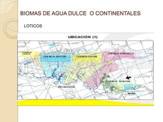 BIOMAS DE AGUA DULCE O CONTINENTALES
LOTICOS
 