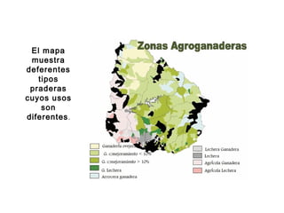 El mapa
muestra
deferentes
tipos
praderas
cuyos usos
son
diferentes.
 