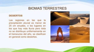BIOMAS TERRESTRES
DESIERTOS
Las regiones en las que la
precipitación pluvial es menor de
25 cm anuales, o los lugares en
los que hay más lluvia pero ésta
no se distribuye uniformemente en
el transcurso del año, se clasifican
en general como desiertos.

 