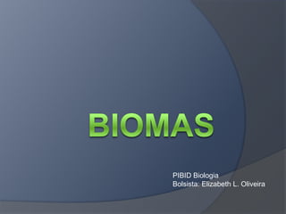 PIBID Biologia
Bolsista: Elizabeth L. Oliveira

 