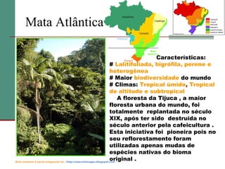 Mata Atlântica
Características:
# Lalitifoliada, higrófila, perene e
heterogênea
# Maior biodiversidade do mundo
# Climas: Tropical úmido, Tropical
de altitude e subtropical
A floresta da Tijuca , a maior
floresta urbana do mundo, foi
totalmente replantada no século
XIX, após ter sido destruída no
século anterior pela cafeicultura .
Esta iniciativa foi pioneira pois no
seu reflorestamento foram
utilizadas apenas mudas de
espécies nativas do bioma
original .
Este material é parte integrante de : http://salacristinageo.blogspot.com

 