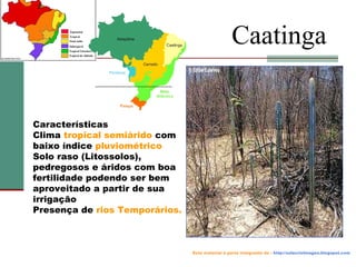 Caatinga

Características
Clima tropical semiárido com
baixo índice pluviométrico
Solo raso (Litossolos),
pedregosos e áridos com boa
fertilidade podendo ser bem
aproveitado a partir de sua
irrigação
Presença de rios Temporários.

Este material é parte integrante de : http://salacristinageo.blogspot.com

 