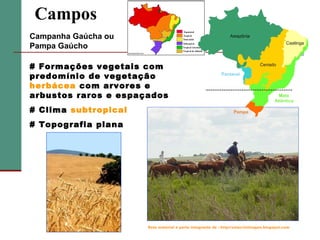 Campos
Campanha Gaúcha ou
Pampa Gaúcho
# Formações vegetais com
predomínio de vegetação
herbácea com arvores e
arbustos raros e espaçados
# Clima subtropical
# Topografia plana

Este material é parte integrante de : http://salacristinageo.blogspot.com

 