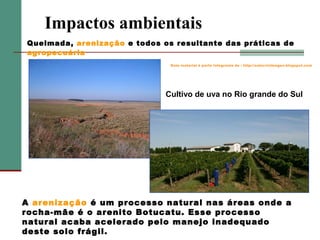 Impactos ambientais
Queimada, arenização e todos os resultante das práticas de
agropecuária
Este material é parte integrante de : http://salacristinageo.blogspot.com

Cultivo de uva no Rio grande do Sul

A arenização é um processo natural nas áreas onde a
rocha-mãe é o arenito Botucatu. Esse processo
natural acaba acelerado pelo manejo inadequado
deste solo frágil.

 