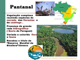 Pantanal
Vegetação complexa
reunindo espécies do
cerrado das florestas e
da caatinga .
Presença de grande
rede hidrográfica
( Bacia do Paraguai)
Variada e colorida flora
e fauna
Recebeu o título de
“Reserva Mundial da
Biosfera”/Unesco

Este material é parte integrante de : http://salacristinageo.blogspot.com

 