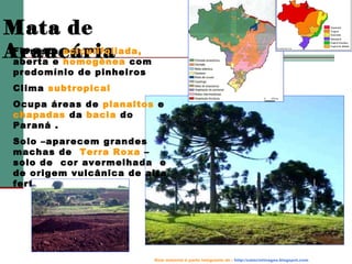 Mata de
Floresta aciculifoliada,
Araucária com
aberta e homogênea
predomínio de pinheiros
Clima subtropical
Ocupa áreas de planaltos e
chapadas da bacia do
Paraná .
Solo –aparecem grandes
machas de Terra Roxa –
solo de cor avermelhada e
de origem vulcânica de alta
fertilidade.

Este material é parte integrante de : http://salacistinageo.blogspot.com

 