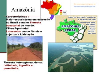 Este material é parte integrante de :

Amazônia
Características :
Maior ecossistema em extensão
no Brasil e maior Floresta
equatorial do mundo.
Clima Equatorial
Latossolos pouco férteis e
sujeitos a Lixiviação

Floresta heterogênea, densa,
latifoliada, higrófila e
perenifólia.

http://salacristinageo.blogspot.com

 
