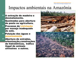 Este material é parte integrante de :
http://salacristinageo.blogspot.com

Impactos ambientais na Amazônia
 A extração de madeira e






desmatamento.
Queimadas para abertura
de pasto ou agricultura.
Processo de Lixiviação
por manejo inadequado
do solo.
Poluição das águas e
assoreamento
Abertura de estradas,
urbanização,construções
de hidrelétricas, tráfico
ilegal de animais
silvestres e outros.

 