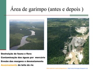 Área de garimpo (antes e depois )

Destruição de fauna e flora
Contaminação das águas por mercúrio
Erosão das margens e desmatamento
Assoreamento do leito do rio
Este material é parte integrante de : http://salacristinageo.blogspot.com

 
