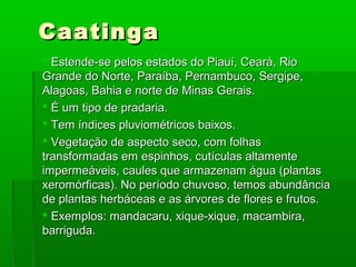 CaatingaCaatinga
 Estende-se pelos estados do Piauí, Ceará, RioEstende-se pelos estados do Piauí, Ceará, Rio
Grande do Norte, Paraíba, Pernambuco, Sergipe,Grande do Norte, Paraíba, Pernambuco, Sergipe,
Alagoas, Bahia e norte de Minas Gerais.Alagoas, Bahia e norte de Minas Gerais.
 É um tipo de pradaria.É um tipo de pradaria.
 Tem índices pluviométricos baixos.Tem índices pluviométricos baixos.
 Vegetação de aspecto seco, com folhasVegetação de aspecto seco, com folhas
transformadas em espinhos, cutículas altamentetransformadas em espinhos, cutículas altamente
impermeáveis, caules que armazenam água (plantasimpermeáveis, caules que armazenam água (plantas
xeromórficas). No período chuvoso, temos abundânciaxeromórficas). No período chuvoso, temos abundância
de plantas herbáceas e as árvores de flores e frutos.de plantas herbáceas e as árvores de flores e frutos.
 Exemplos: mandacaru, xique-xique, macambira,Exemplos: mandacaru, xique-xique, macambira,
barriguda.barriguda.
 