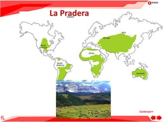 Inicio
La Pradera
10
Continúa>>
 