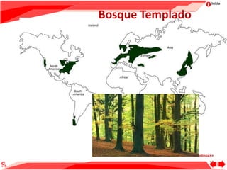 Inicio
Bosque Templado
13
Continúa>>
 