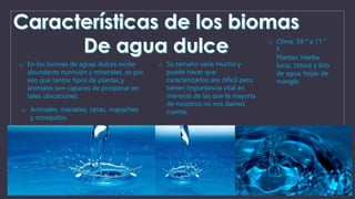 o En los biomas de aguas dulces existe 
abundante nutrición y minerales, es por 
eso que tantos tipos de plantas y 
animales son capaces de prosperar en 
tales ubicaciones. 
o Su tamaño varía mucho y 
puede hacer que 
caracterizarlos sea difícil pero 
tienen importancia vital en 
maneras de las que la mayoría 
de nosotros no nos damos 
cuenta. 
o Clima: 39 ° a 71 ° 
F. 
Plantas: hierba 
lucio, totora y lirio 
de agua, hojas de 
mangle. 
o Animales: manatíes, ranas, mapaches 
y mosquitos. 
 