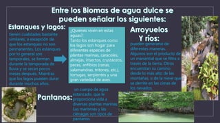 tienen cualidades bastante 
similares, a excepción de 
que los estanques no son 
permanentes. Los estanques 
por lo general son 
temporales, se forman 
durante la temporada de 
lluvia y se secan pocos 
meses después. Mientras 
que los lagos pueden durar 
durante muchos años. 
¿Quiénes viven en estas 
aguas?: 
Tanto los estanques como 
los lagos son hogar para 
diferentes especies de 
plantas marinas, caracoles, 
almejas, insectos, crustáceos, 
peces, anfibios (ranas, 
salamandras, tritones, etc.), 
tortugas, serpientes y una 
gran variedad de aves. 
pueden generarse de 
diferentes maneras. 
Algunos son el producto de 
un manantial que se filtra a 
través de la tierra. Otros 
encuentran su camino 
desde lo más alto de las 
montañas, o de la nieve que 
se derrite en las cimas de 
un cuerpo de agua los nevados. 
estancado, que le 
proporciona vida a 
diversas plantas marinas. 
Las marismas y las 
ciénagas son tipos de 
pantanos. 
 