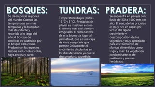 Se da en pocas regiones 
del mundo. Cuando las 
temperaturas son más 
templadas y la humedad 
más abundante y 
repartida a lo largo del 
año, el bosque de 
coníferas es sustituido por 
el bosque caducifolio. 
Predominan las especies 
leñosas caducifolias: roble, 
haya, encina y carpe. 
Temperaturas bajas (entre - 
15 °C y 5 °C). Precipitación 
pluvial es más bien escasa. 
El terreno esta casi siempre 
congelado. El clima tan frío 
de este bioma da lugar al 
permafrost, que es una capa 
de hielo congelada que 
permite únicamente el 
crecimiento de plantas en 
los días de verano ya que se 
descongela su superficie. 
Se encuentra en parajes con 
lluvia de 300 a 1500 mm por 
año. El suelo de las praderas 
es muy rico en capas por 
virtud del rápido 
crecimiento y 
descomposición de los 
vegetales, y muy apropiado 
para el crecimiento de 
plantas alimenticias como 
trigo y maíz. La vegetación 
predominante es de 
pastizales y plantas 
herbáceas. 
 