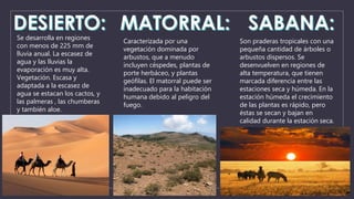 Se desarrolla en regiones 
con menos de 225 mm de 
lluvia anual. La escasez de 
agua y las lluvias la 
evaporación es muy alta. 
Vegetación. Escasa y 
adaptada a la escasez de 
agua se estacan los cactos, y 
las palmeras , las chumberas 
y también aloe. 
Caracterizada por una 
vegetación dominada por 
arbustos, que a menudo 
incluyen céspedes, plantas de 
porte herbáceo, y plantas 
geófilas. El matorral puede ser 
inadecuado para la habitación 
humana debido al peligro del 
fuego. 
Son praderas tropicales con una 
pequeña cantidad de árboles o 
arbustos dispersos. Se 
desenvuelven en regiones de 
alta temperatura, que tienen 
marcada diferencia entre las 
estaciones seca y húmeda. En la 
estación húmeda el crecimiento 
de las plantas es rápido, pero 
éstas se secan y bajan en 
calidad durante la estación seca. 
 