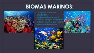 o Los biomas marinos se 
caracterizan, 
fundamentalmente, por la 
salinidad del agua. Comprende 
todo el océano, lo que supone 
una extensión vastísima. 
 
