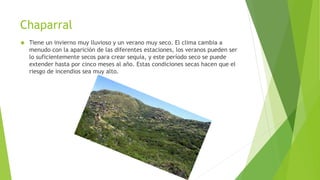 Chaparral 
 Tiene un invierno muy lluvioso y un verano muy seco. El clima cambia a 
menudo con la aparición de las diferentes estaciones, los veranos pueden ser 
lo suficientemente secos para crear sequía, y este período seco se puede 
extender hasta por cinco meses al año. Estas condiciones secas hacen que el 
riesgo de incendios sea muy alto. 
 