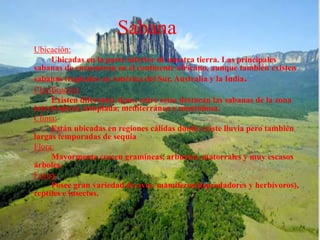 Sabana 
Ubicación: 
Ubicadas en la parte inferior de nuestra tierra. Las principales 
sabanas de encuentran en el continente africano, aunque también existen 
sabanas tropicales en América del Sur, Australia y la India. 
Clasificación: 
Existen diferentes tipos, entre estos destacan las sabanas de la zona 
intertropical, templada, mediterránea y montañosa. 
Clima: 
Están ubicadas en regiones cálidas donde existe lluvia pero también 
largas temporadas de sequía 
Flora: 
Mayormente crecen gramíneas, arbustos, matorrales y muy escasos 
árboles. 
Fauna: 
Posee gran variedad de aves, mamíferos(depredadores y herbívoros), 
reptiles e insectos. 
 