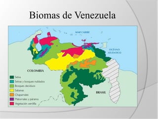 Biomas de Venezuela 
