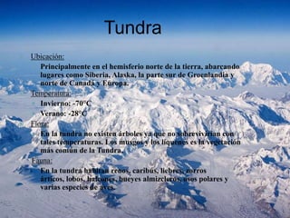 Tundra 
 Ubicación: 
 Principalmente en el hemisferio norte de la tierra, abarcando 
lugares como Siberia, Alaska, la parte sur de Groenlandia y 
norte de Canadá y Europa. 
 Temperatura: 
 Invierno: -70°C 
 Verano: -28°C 
 Flora: 
 En la tundra no existen árboles ya que no sobrevivirían con 
tales temperaturas. Los musgos y los líquenes es la vegetación 
más común de la Tundra. 
Fauna: 
En la tundra habitan renos, caribús, liebres, zorros 
árticos, lobos, halcones, bueyes almizcleros, osos polares y 
varias especies de aves. 
 