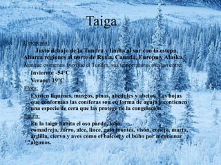 Taiga 
 Ubicación: 
 Justo debajo de la Tundra y limita al sur con la estepa. 
Abarca regiones al norte de Rusia, Canadá, Europa y Alaska. 
 Aunque es menos frio que el Tundra, sus temperaturas oscilan entre: 
 Invierno: -54°C 
 Verano: 19°C 
Flora: 
Existen líquenes, musgos, pinos, abedules y abetos. Las hojas 
que conforman las coníferas son en forma de aguja y contienen 
una especie de cera que las protege de la congelación. 
Fauna: 
En la taiga habita el oso pardo, lobo, 
comadreja, zorro, alce, lince, gato montés, visón, conejo, marta, 
ardilla, ciervo y aves como el halcón y el búho por mencionar 
algunos. 
 