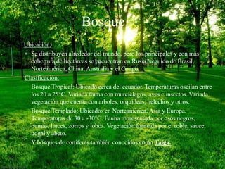 Bosque 
Ubicación: 
 Se distribuyen alrededor del mundo, pero los principales y con más 
cobertura de hectáreas se encuentran en Rusia, seguido de Brasil, 
Norteamérica, China, Australia y el Congo. 
Clasificación: 
Bosque Tropical: Ubicado cerca del ecuador. Temperaturas oscilan entre 
los 20 a 25°C. Variada fauna con murciélagos, aves e insectos. Variada 
vegetación que cuenta con arboles, orquídeas, helechos y otros. 
Bosque Templado: Ubicados en Norteamérica, Asia y Europa. 
Temperaturas de 30 a -30°C. Fauna representada por osos negros, 
pumas, linces, zorros y lobos. Vegetación formada por el roble, sauce, 
nogal y abeto. 
Y bosques de coníferas también conocidos como Taiga. 
 
