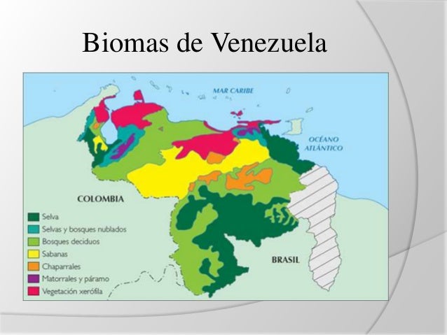 Resultado de imagen para biomas venezolanos