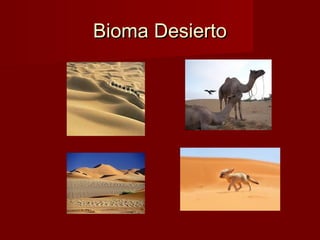 Bioma DesiertoBioma Desierto
 