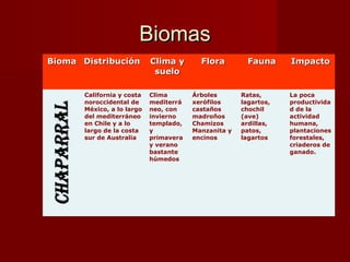 BiomasBiomas
BiomaBioma DistribuciónDistribución Clima yClima y
suelosuelo
FloraFlora FaunaFauna ImpactoImpacto
California y costa
noroccidental de
México, a lo largo
del mediterráneo
en Chile y a lo
largo de la costa
sur de Australia
Clima
mediterrá
neo, con
invierno
templado,
y
primavera
y verano
bastante
húmedos
Árboles
xerófilos
castaños
madroños
Chamizos
Manzanita y
encinos
Ratas,
lagartos,
chochil
(ave)
ardillas,
patos,
lagartos
La poca
productivida
d de la
actividad
humana,
plantaciones
forestales,
criaderos de
ganado.
 