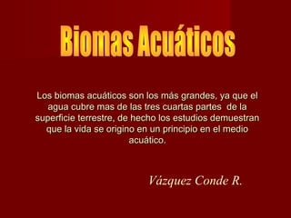 Los biomas acuáticos son los más grandes, ya que elLos biomas acuáticos son los más grandes, ya que el
agua cubre mas de las tres cuartas partes de laagua cubre mas de las tres cuartas partes de la
superficie terrestre, de hecho los estudios demuestransuperficie terrestre, de hecho los estudios demuestran
que la vida se origino en un principio en el medioque la vida se origino en un principio en el medio
acuático.acuático.
Vázquez Conde R.
 