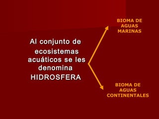 BIOMA DE
AGUAS
MARINAS
Al conjunto deAl conjunto de
ecosistemasecosistemas
acuáticos se lesacuáticos se les
denominadenomina
HIDROSFERAHIDROSFERA
BIOMA DE
AGUAS
CONTINENTALES
 