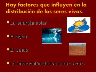  La energía solarLa energía solar
 El aguaEl agua
 El sueloEl suelo
 La interacción de los seres vivos.La interacción de los seres vivos.
 