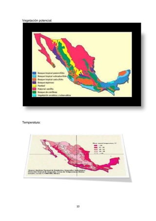 10
Vegetación potencial.
Temperatura:
 