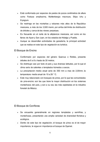 6
 Está conformada por especies de pastos de pocos centímetros de altura
como Festuca amplissima, Muhlenbergia macroura, Stipa ichu y
Eryngium.
 Se restringe en las montañas y volcanes más altos de la República
mexicana, a más de los 3,500 msnm, por arriba del límite de distribución
de árboles y cerca de las nieves perpetuas.
 Es frecuente en el norte de la altiplanicie mexicana, así como en los
llanos de Apan y San Juan, en los estados de Hidalgo y Puebla.
 Aunque se desarrollan actividades de ganadería, la principal actividad
que se realiza en este tipo de vegetación es turística.
El Bosque de Encino
 Conformado por especies del género Quercus o Robles, presenta
árboles de 6 a 8 o hasta de 30 metros.
 Se distribuye casi por todo el país y sus diversas latitudes, por lo que el
clima varía de calientes o templados húmedos a secos.
 La precipitación media anual varía de 350 mm a mas de 2,00mm, la
temperatura media anual de 10 a 26 ° C.
 Está muy relacionado con bosques de pinos, por lo que las comunidades
de pino-encino son las que tiene la mayor distribución en los sistemas
montañosos del país, y son a su vez, las más explotadas en la industria
forestal de México.
El Bosque de Coníferas
 Se encuentra generalmente en regiones templadas y semifrías, y
montañosas, presentando una amplia variedad de diversidad florística y
ecológica.
 Dentro de este tipo de vegetación, el bosque de pinos es el de mayor
importancia, le sigue en importancia el bosque de Oyamel.
 
